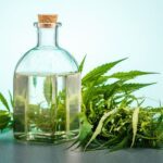 Congresso da Cannabis Medicinal traz novidades em tratamentos médicos para distintas especialidades